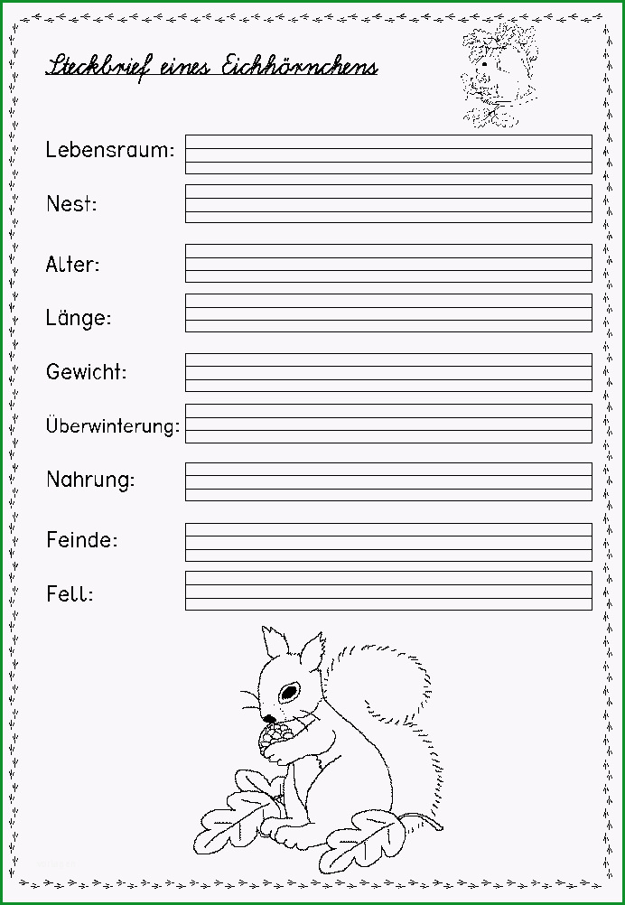 steckbrief tier vorlage