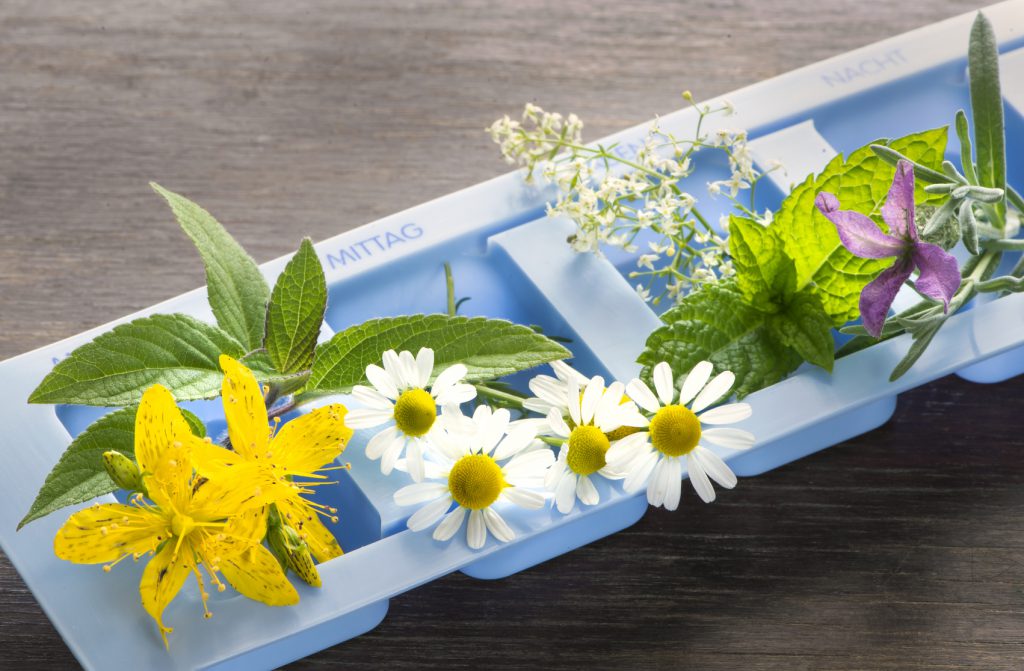 heilpadagogik ausbildung nrw