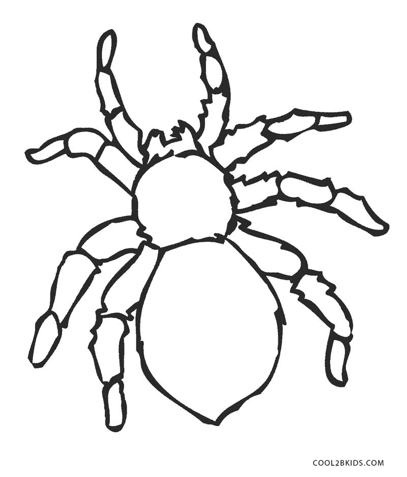 preschool spider coloring pages