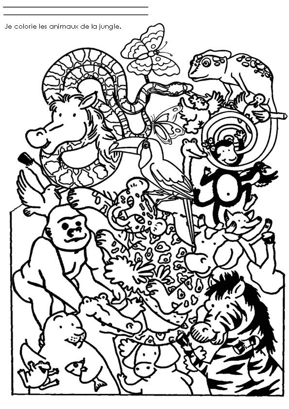 coloriage gratuit animaux de la jungle a imprimer