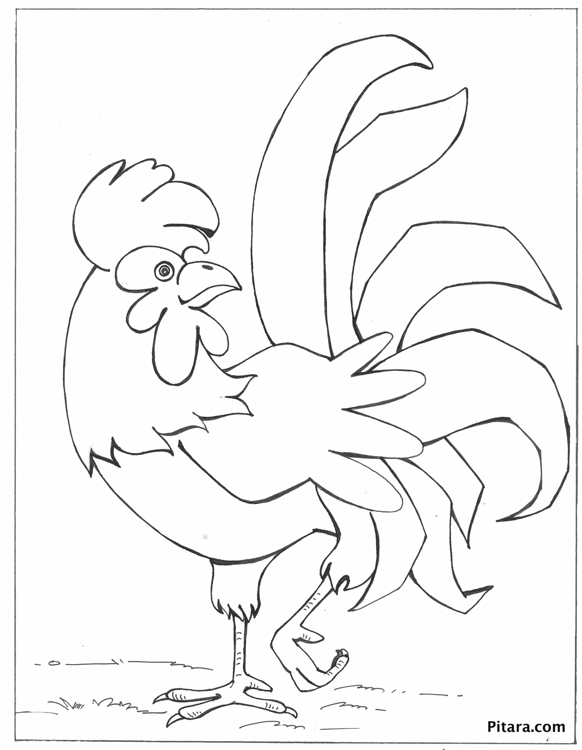 chicken coloring pages