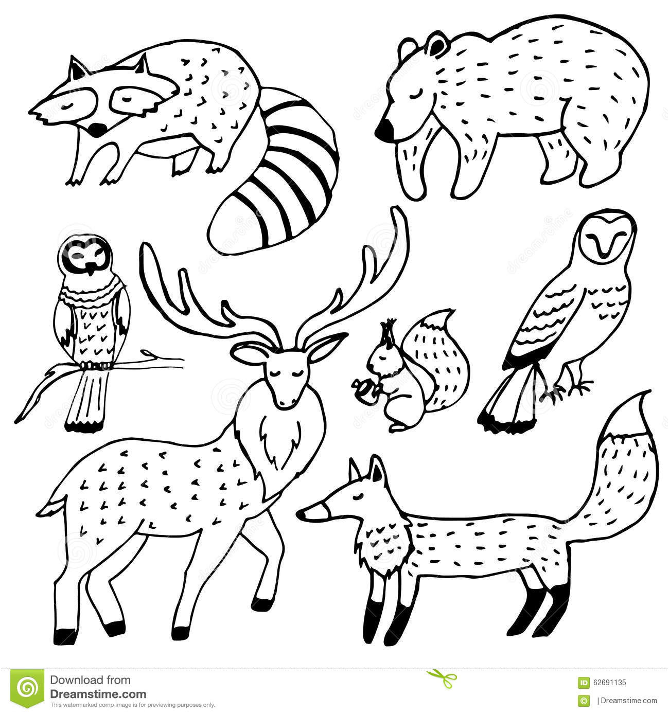 coloriage animaux foret imprimer