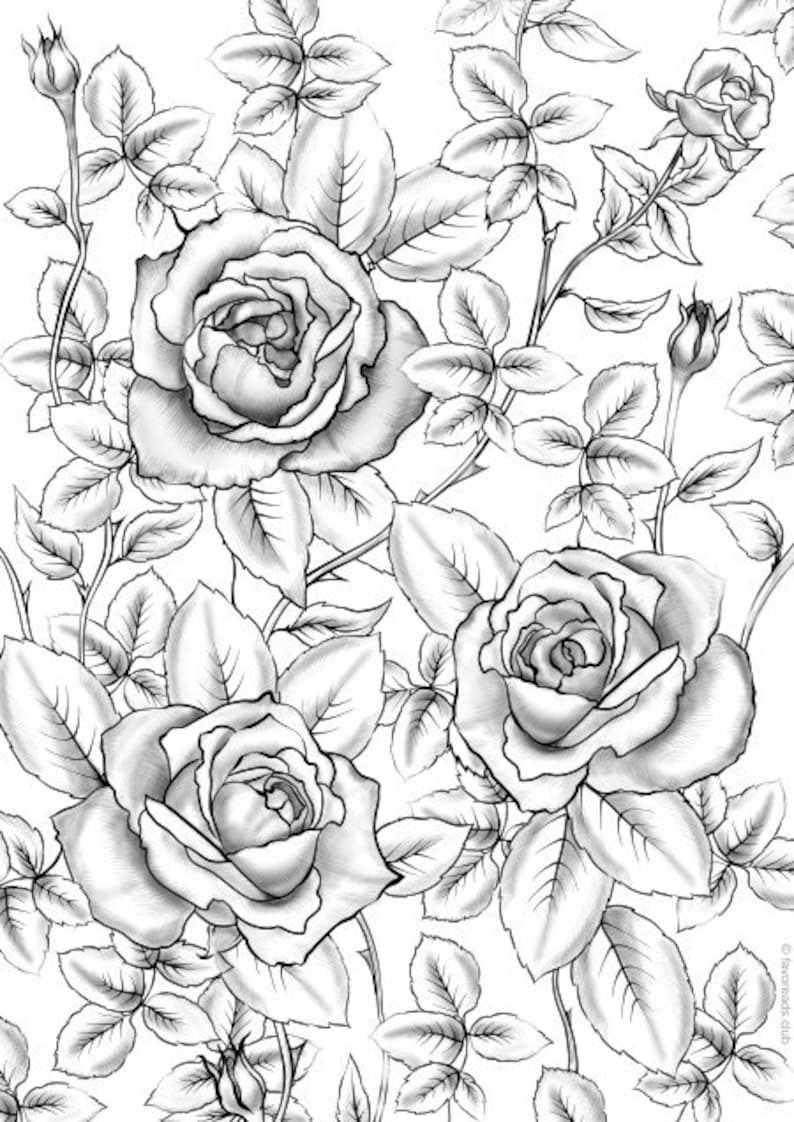 free grayscale coloring pages for adults