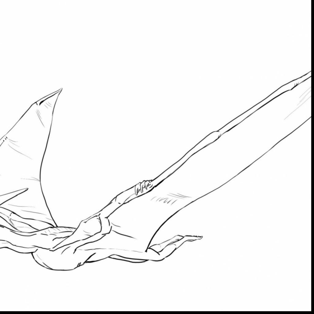 pteranodon coloring pages