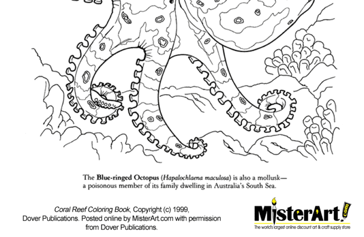 reef coloring pages reef coloring pages