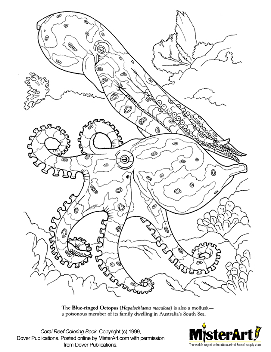 reef coloring pages