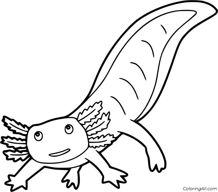 axolotl coloring pages to print