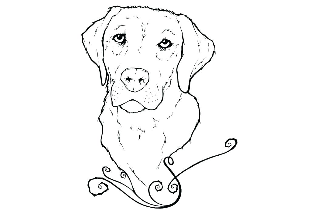 golden retriever coloring page