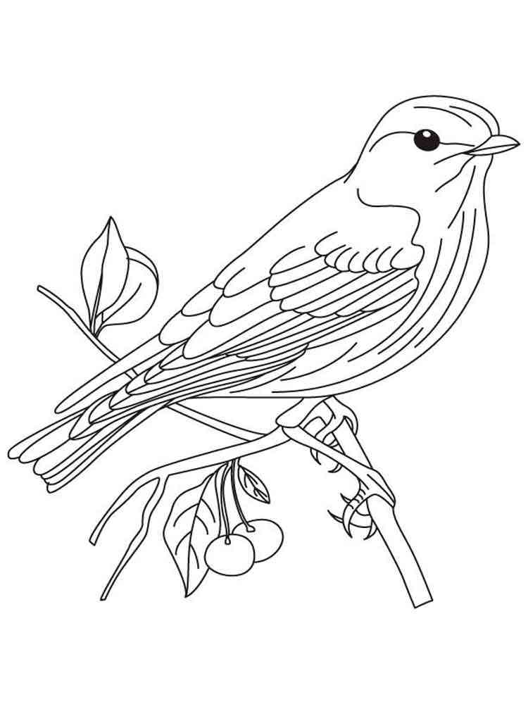 bluebird coloring page