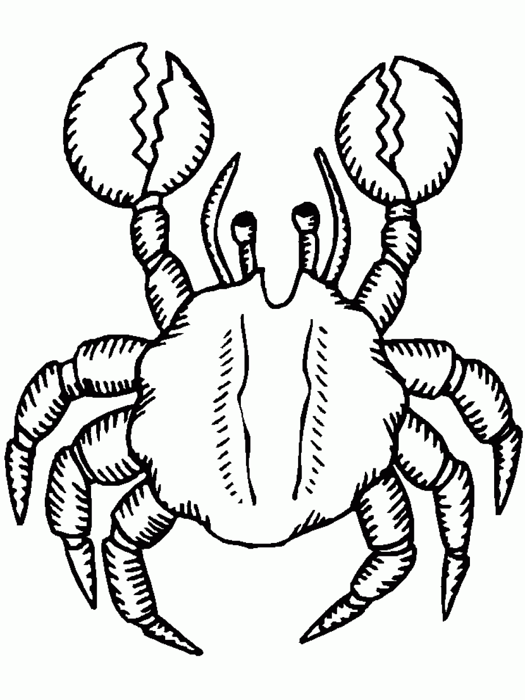 crab coloring page