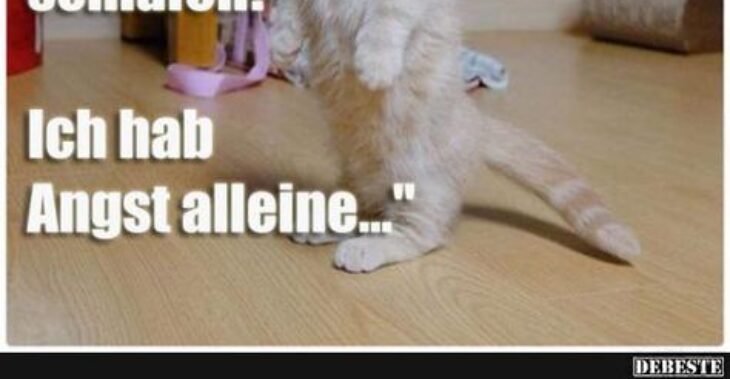 guten abend gute nacht lied guten abend gute nacht lied