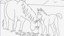 Bibi Und Tina Ausmalbilder | Ausmalbilder, Malvorlagen Pferde, Malvorlagen