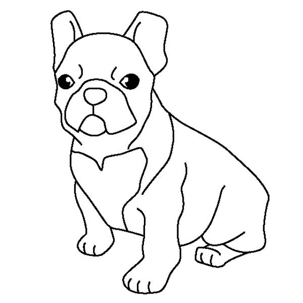 bulldog coloring pages