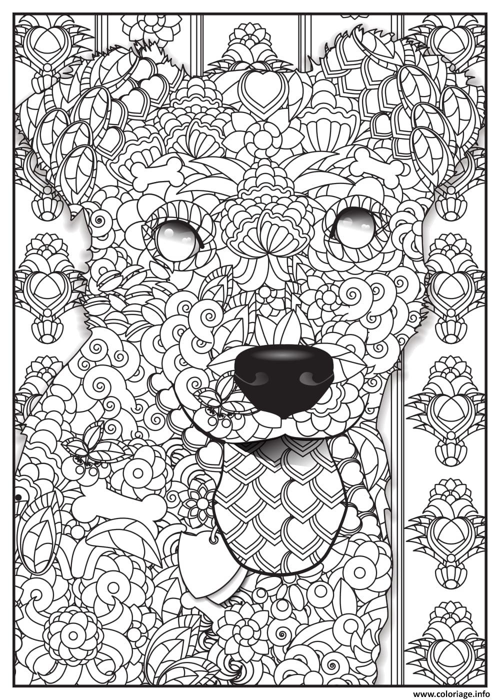 coloriage magic 7