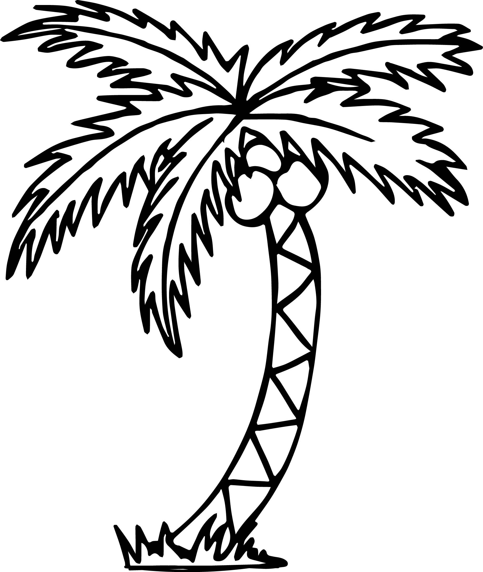 palm trees coloring pages