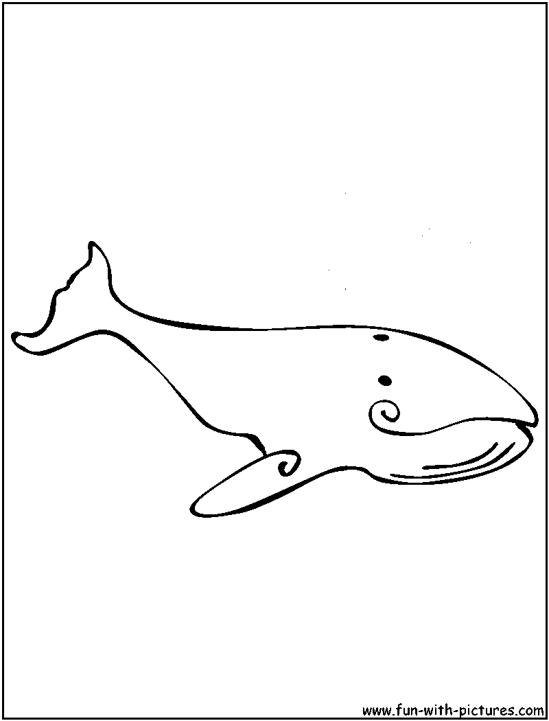 humpback whale coloring pages
