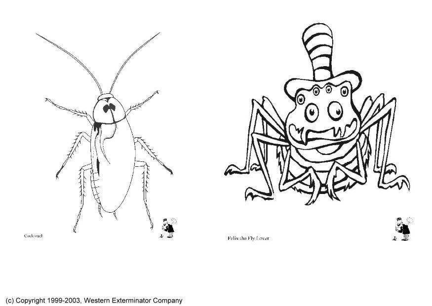 get dessin a imprimer insectes pictures