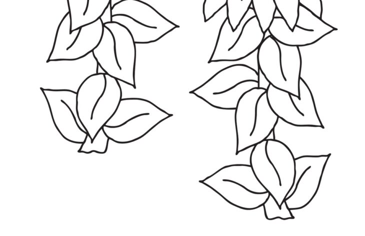 sunflower coloring page pdf sunflower coloring page pdf