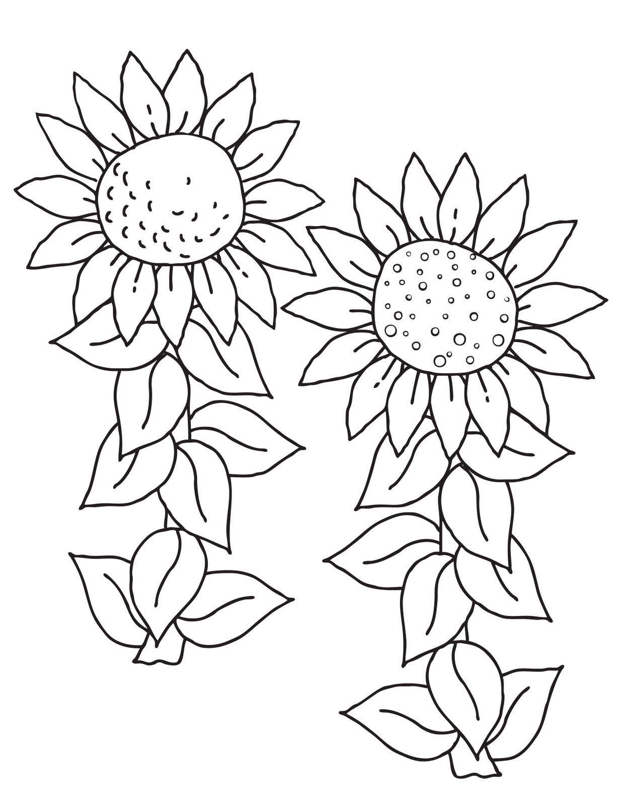 sunflower coloring page pdf