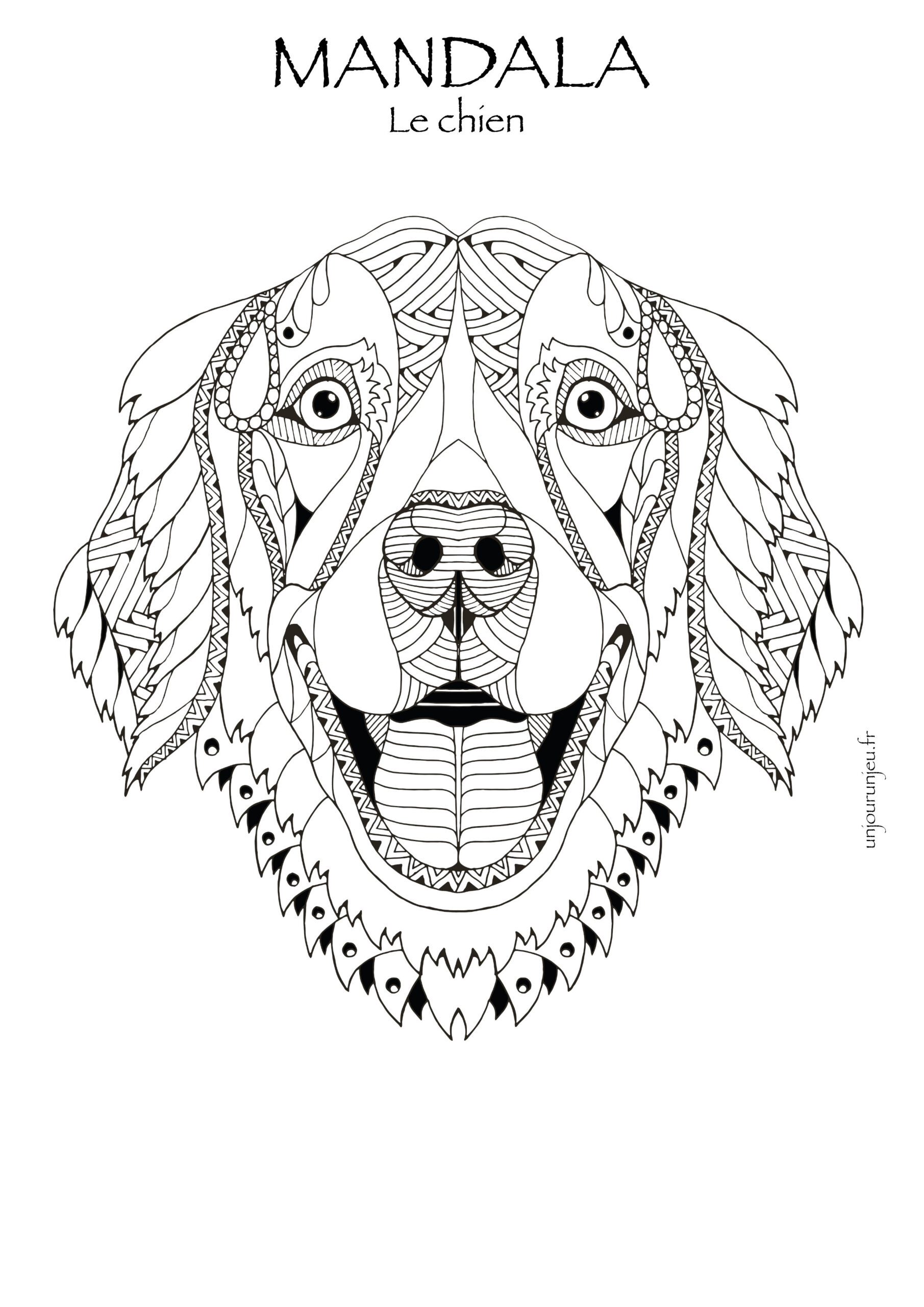 coloriage animaux gratuit en ligne