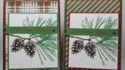 Ornamental Pine For Stamping & Blogging Stampin' Up! | Christmas