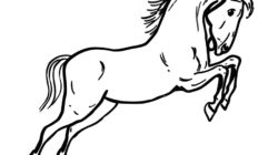Pferdebilder Ausmalen: Pferdeköpfe Ausmalbilder | Babyduda » Malbuch