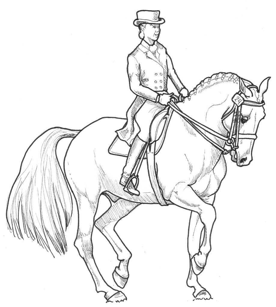 Pinmulberry Accents On Horse Lessons | Horse Coloring Pages, Animal