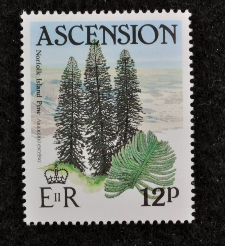 Stamp: Norfolk Island Pine (Ascension Island) (Trees) Mi:ac 373,Sn:ac