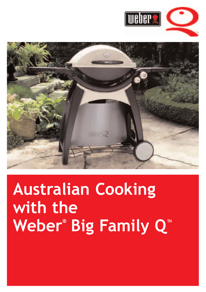 17 weber q instruction manual images