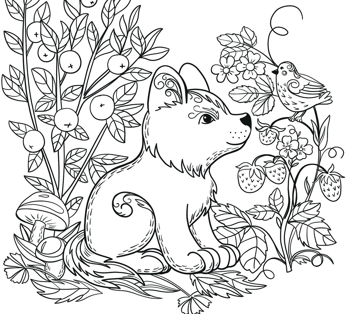 forest animal coloring page