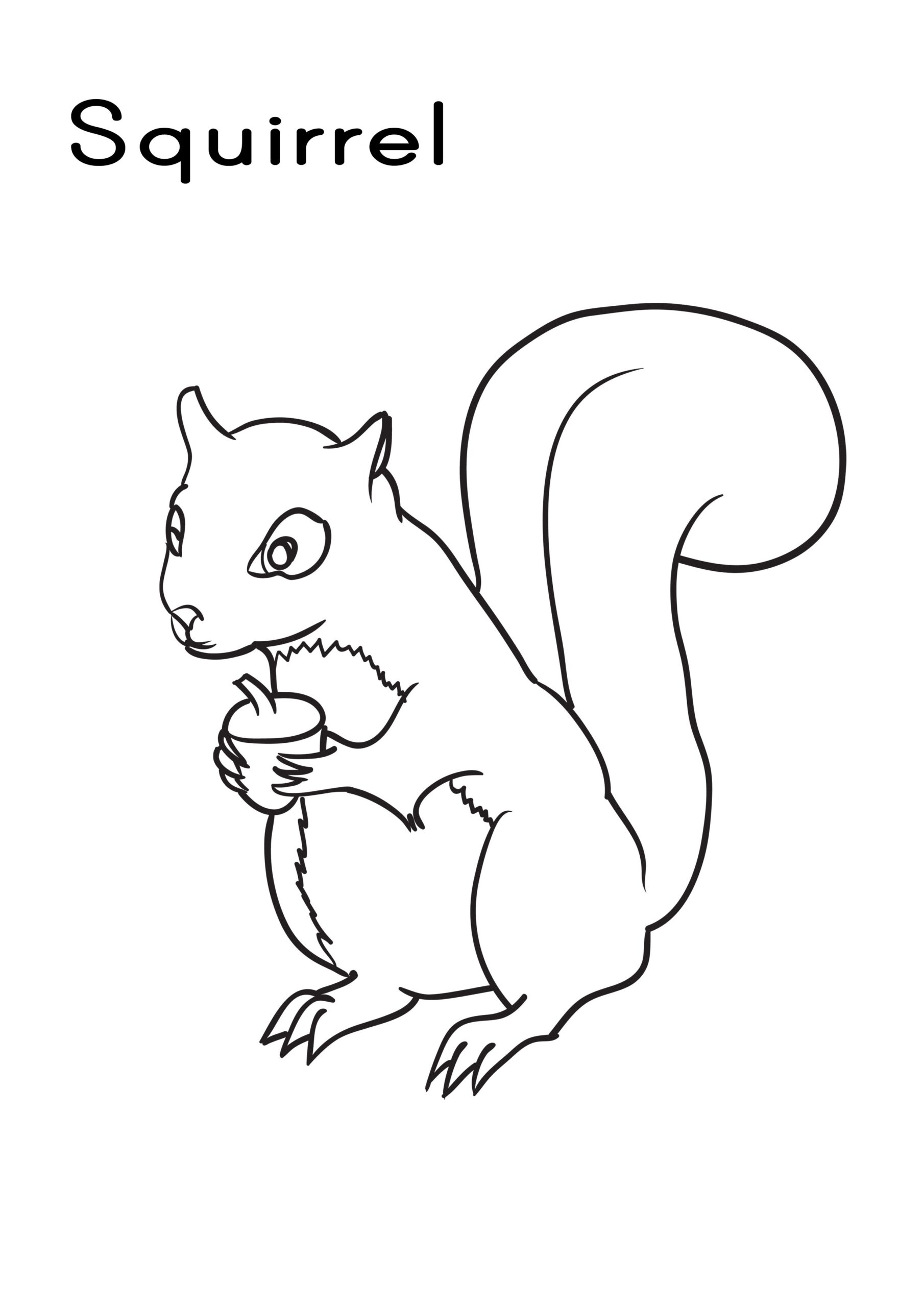 free squirrel coloring pages