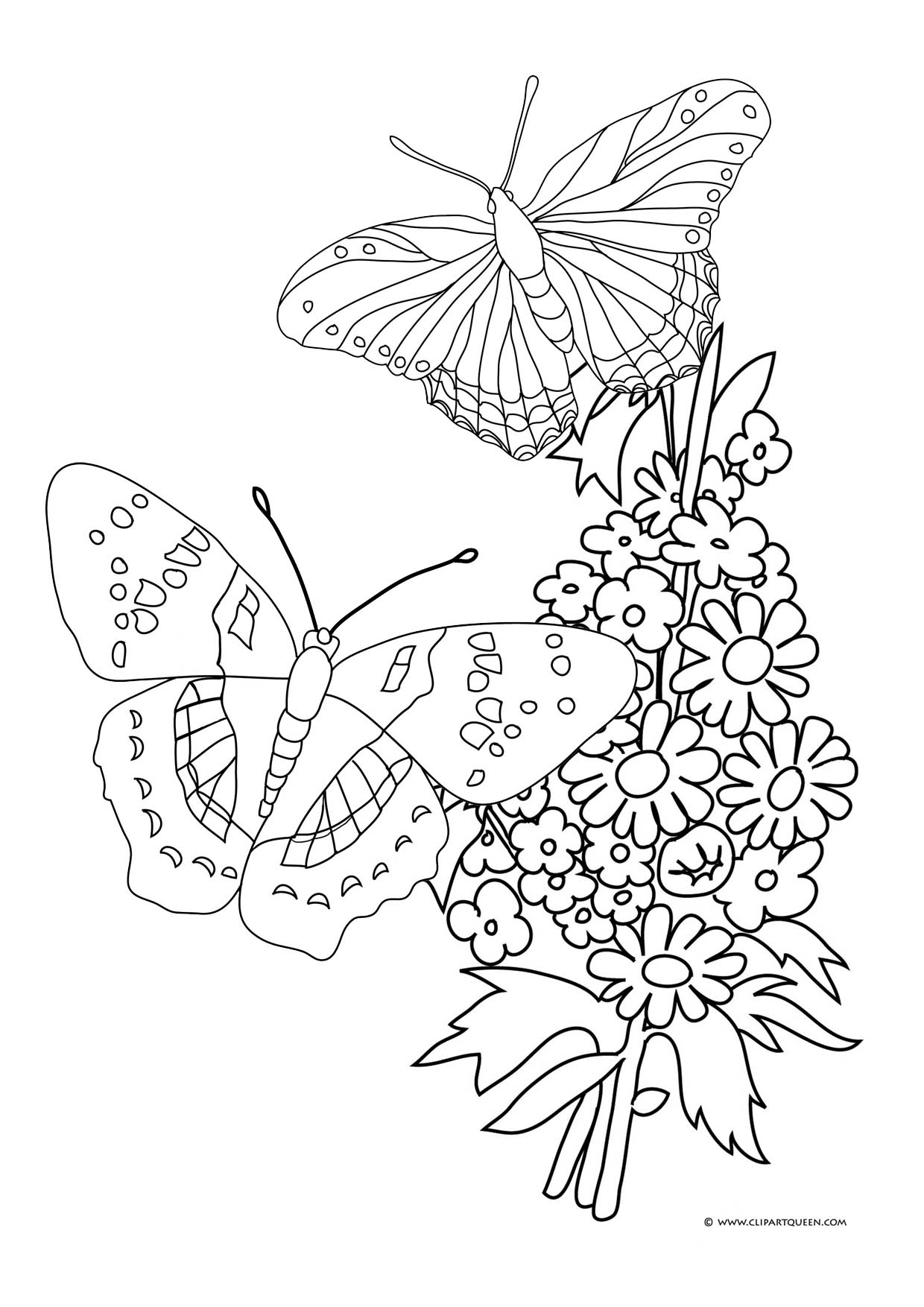 butterfly spring coloring pages