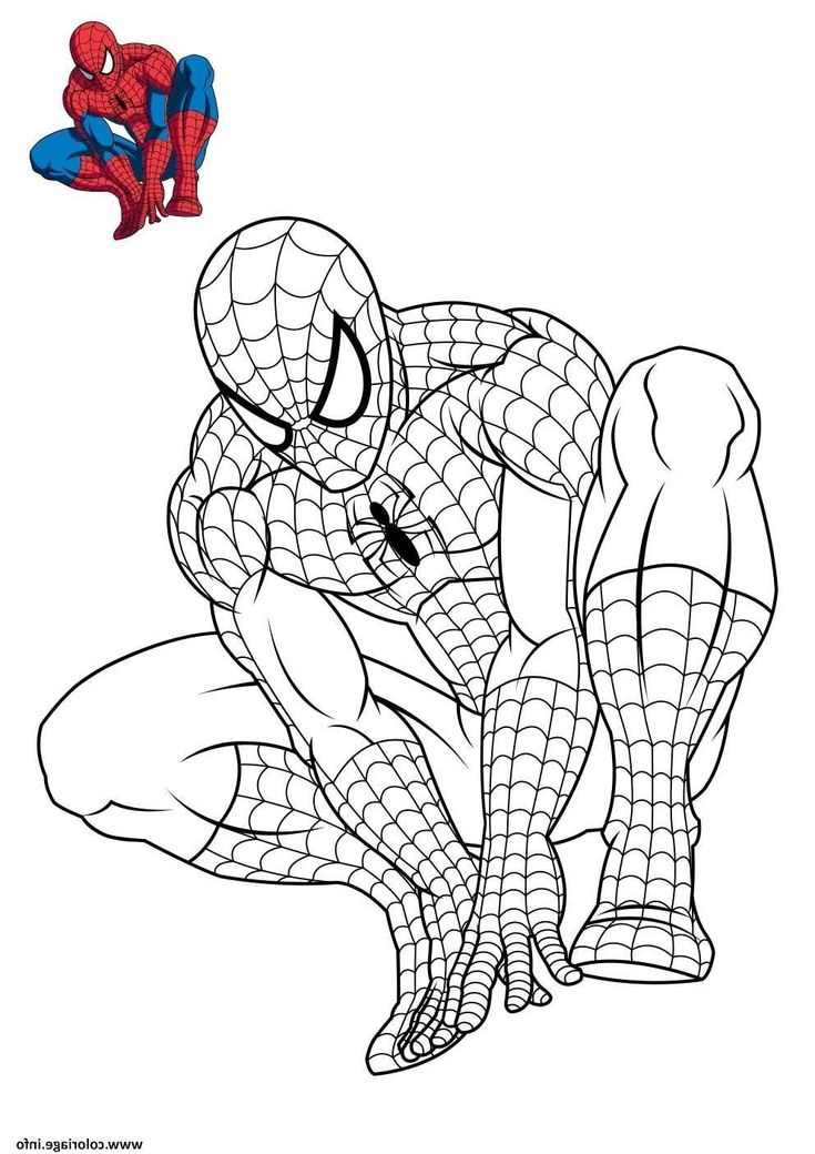 spiderman a colorier rouge et noir