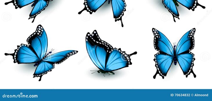 illustration de papillons bleus volants