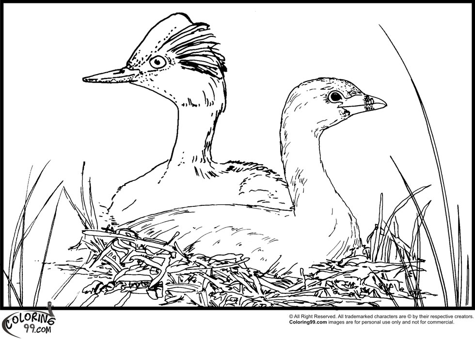 stork coloring pages