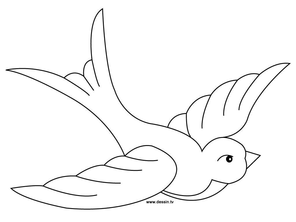 download dessin a imprimer oiseau en vol pics