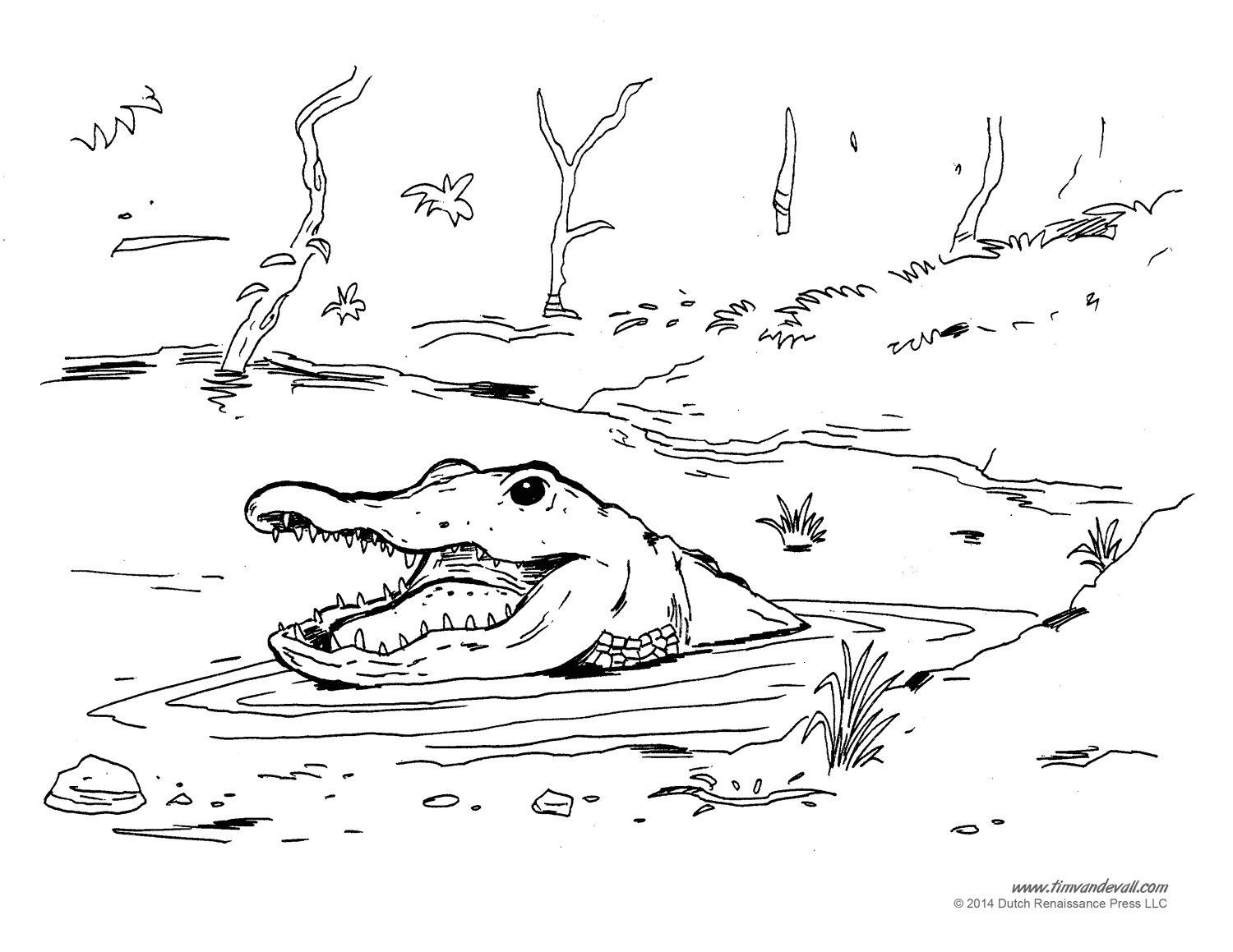 Alligator Coloring Pages – Tim's Printables