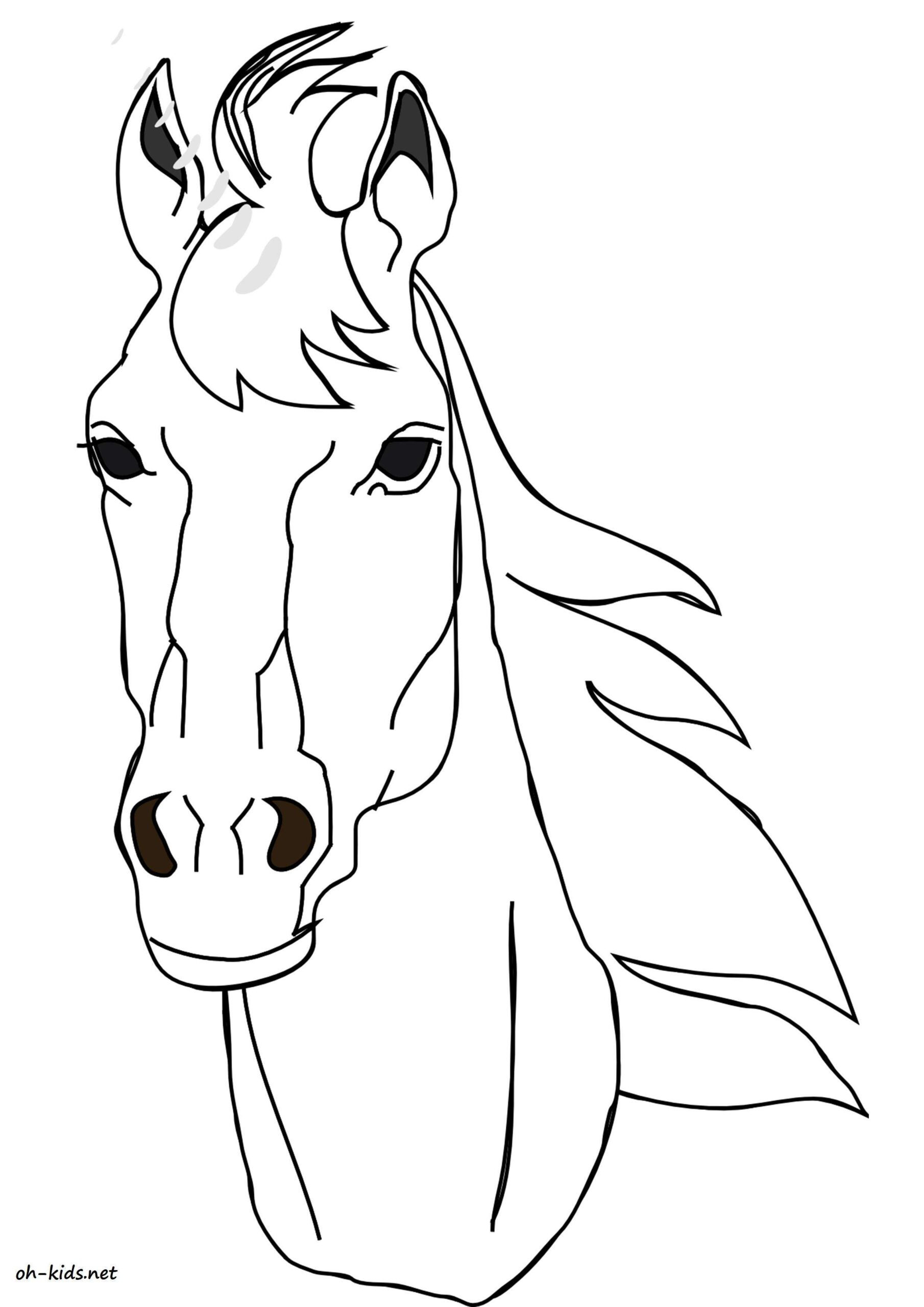 coloriage en ligne de cheval