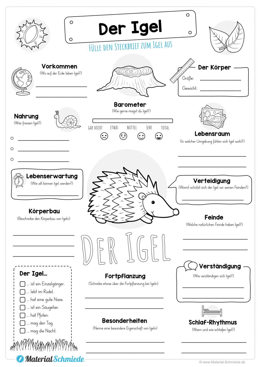 thema igel in der grundschule