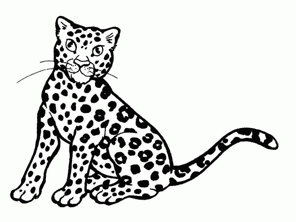 album de coloriage de guepard