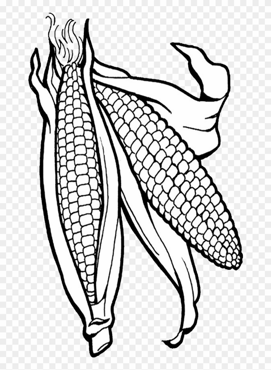 printable corn coloring page