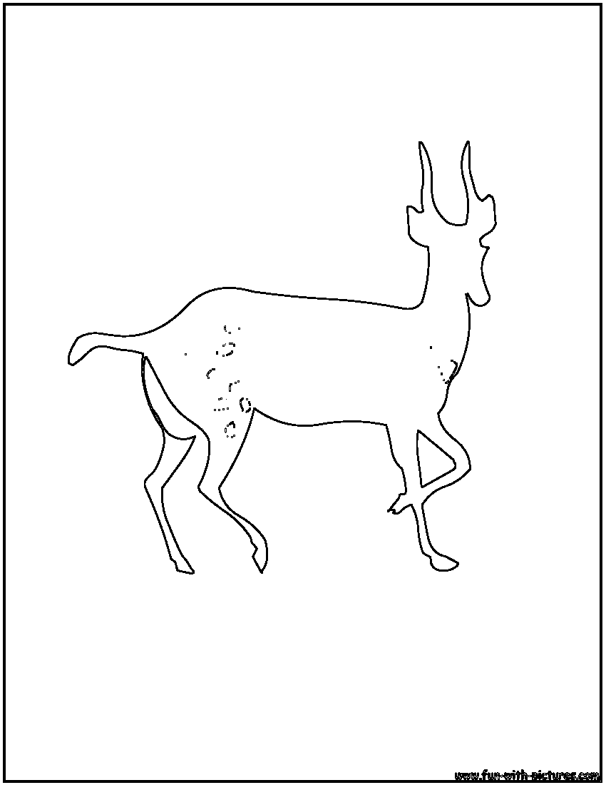 gazelle coloring page