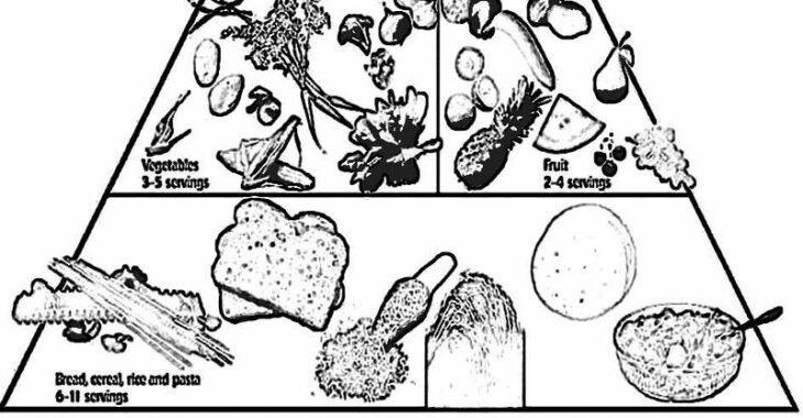 food pyramid coloring page