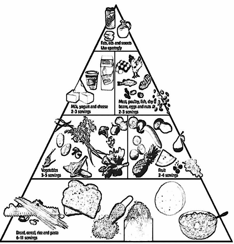 food pyramid coloring page