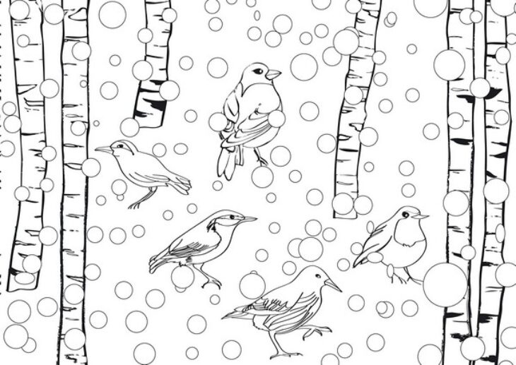 Winter Bird Coloring Pages Winter Adult Coloring Pages