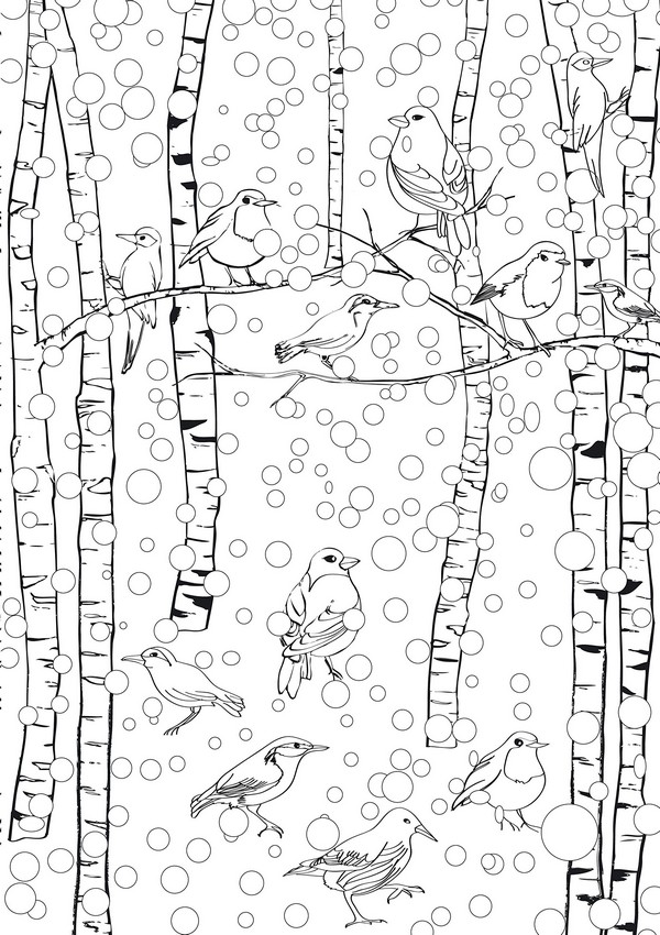 winter bird coloring pages