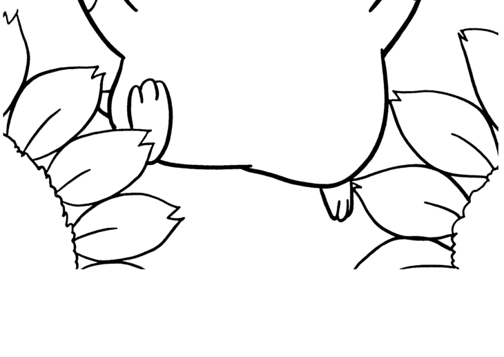 hamster printable coloring pages hamster printable coloring pages