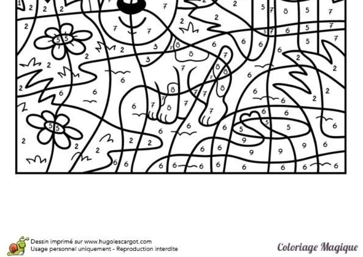 Coloriage Numerote En Ligne Coloriage Numéroté à Imprimer Pour Adulte