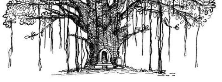 Banyan Tree Coloring Pages Banyan Tree Colouring Pages At Getcolorings.com