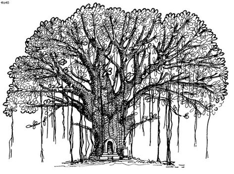 banyan tree coloring pages